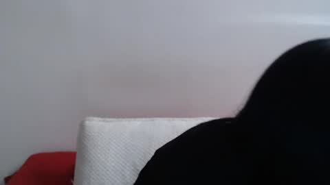 Snapshot of briannacute chatting on November 4, 2025, 2:38 pm Briaa online show from November 4, 2025, 2:38 pm