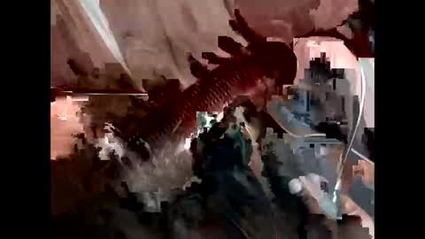 bricchicago online show from February 22, 2025, 3:45 am