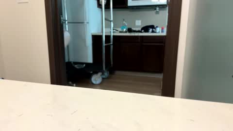 Snapshot of brickmeup chatting on April 8, 2026, 10:32 pm brickmeup online show from April 8, 2026, 10:32 pm