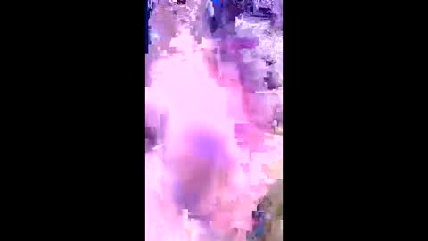 britzchris online show from March 3, 2026, 10:10 am