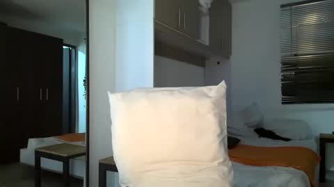 Snapshot of bruce_bigg chatting on December 31, 2024, 5:00 am Bruce online show from December 31, 2024, 5:00 am