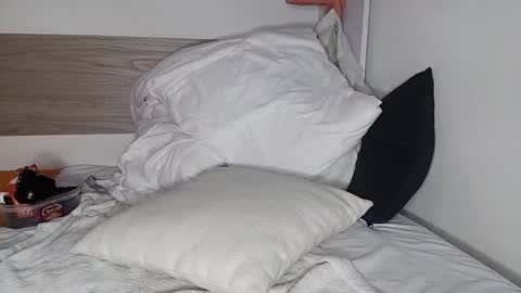 Snapshot of bruce_bigg chatting on January 3, 2025, 4:11 am Bruce online show from January 3, 2025, 4:11 am