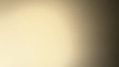 BRUCE online show from December 26, 2024, 2:33 am