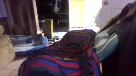 Snapshot of brutal3anddone chatting on October 16, 2025, 5:14 pm brutal3anddone online show from October 16, 2025, 5:14 pm