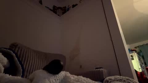 Snapshot of bubblya chatting on February 20, 2026, 6:19 am bubblya online show from February 20, 2026, 6:19 am