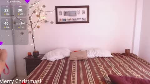 Snapshot of buckwheat_queen chatting on December 25, 2024, 9:54 pm Mira online show from December 25, 2024, 9:54 pm