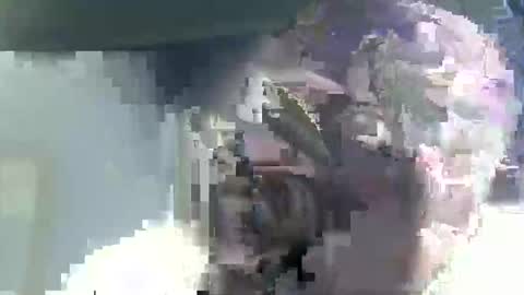 Casey online show from February 14, 2026, 4:53 am