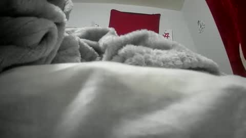 Snapshot of budsonly33 chatting on December 12, 2024, 7:52 am budsonly33 online show from December 12, 2024, 7:52 am