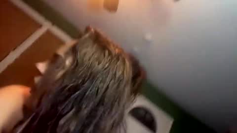 Yourtrippyhippy online show from November 28, 2025, 12:57 am