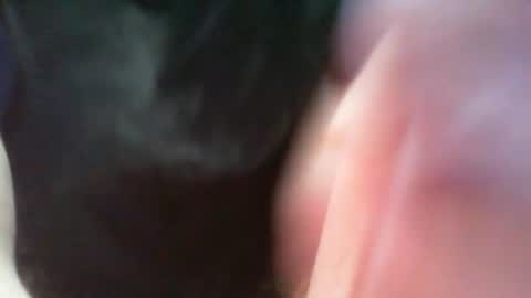 bullemoe online show from March 8, 2025, 7:05 am