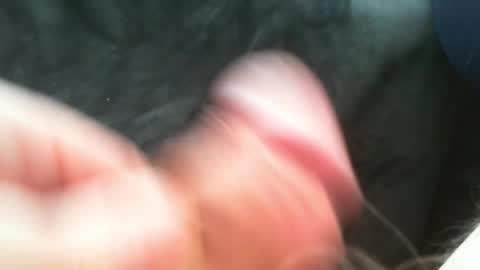 bullemoe online show from March 12, 2025, 11:42 am