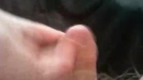 bullemoe online show from October 2, 2025, 7:04 am