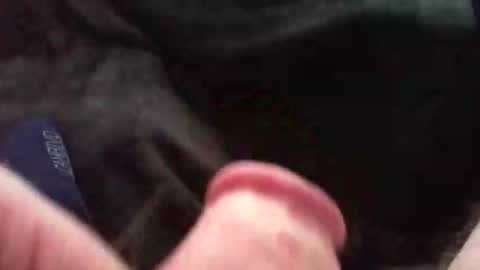 bullemoe online show from November 9, 2025, 11:41 am