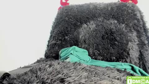 Snapshot of bumblubee chatting on December 18, 2024, 10:24 pm Tonny online show from December 18, 2024, 10:24 pm