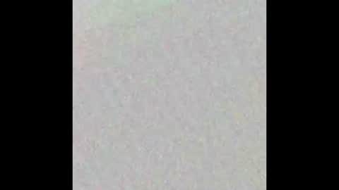 Snapshot of bumblubee chatting on January 18, 2025, 5:26 pm Tonny online show from January 18, 2025, 5:26 pm