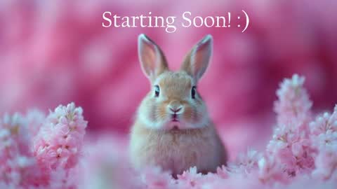Stella online show from May 11, 2026, 9:45 pm