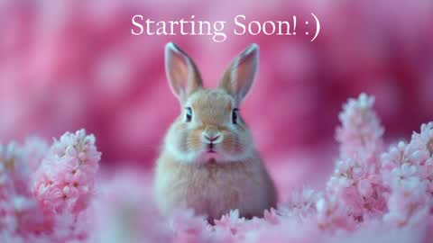Stella online show from June 5, 2026, 12:06 am