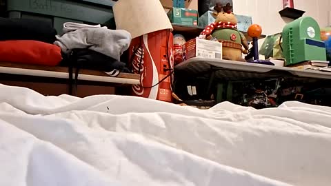 Snapshot of bushdoctor1 chatting on September 23, 2025, 7:22 am bushdoctor1 online show from September 23, 2025, 7:22 am