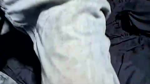 Buster18Hymen online show from October 21, 2025, 7:36 pm