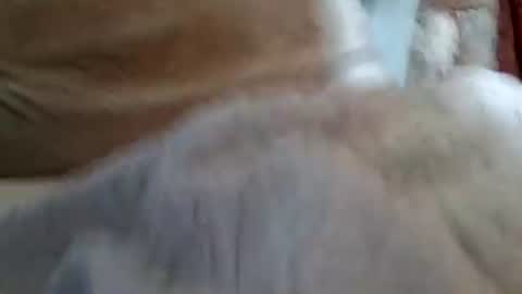 Buster18Hymen online show from February 1, 2026, 10:08 pm