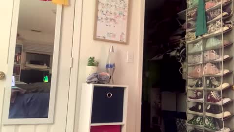 John online show from April 15, 2026, 1:23 am