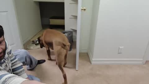 Snapshot of c2cmee chatting on December 26, 2024, 9:55 am c2cmee online show from December 26, 2024, 9:55 am