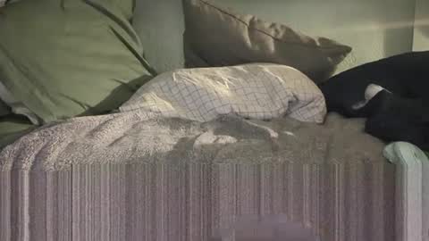 Snapshot of c4tf1sh chatting on January 14, 2026, 8:53 am 1DontR3member online show from January 14, 2026, 8:53 am