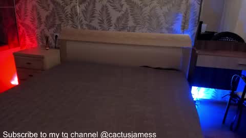 Snapshot of cactusjames_69 chatting on October 15, 2025, 11:05 pm James online show from October 15, 2025, 11:05 pm