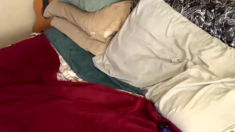 Cadillac P online show from January 11, 2025, 9:15 pm