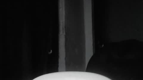 Snapshot of cafinfi1 chatting on February 18, 2026, 1:45 am cafinfi1 online show from February 18, 2026, 1:45 am