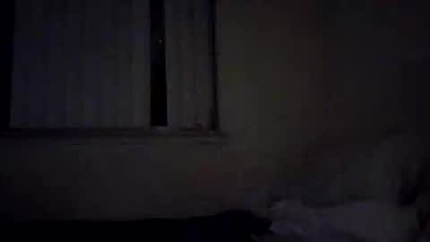 caga_palos online show from February 17, 2026, 4:31 am