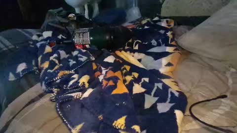 Snapshot of calisguitar chatting on December 29, 2024, 9:30 pm Calisguitar online show from December 29, 2024, 9:30 pm