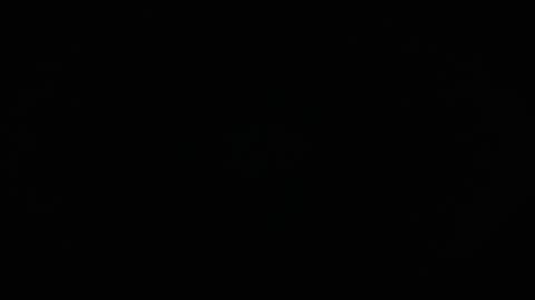 Charly online show from April 8, 2026, 12:49 pm