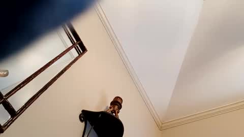 camerontaylorcub online show from December 3, 2024, 5:12 pm