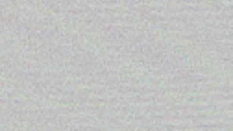 Cami online show from May 19, 2026, 6:31 am