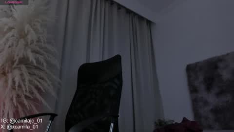 Snapshot of cammile_cole chatting on February 1, 2025, 11:48 pm Laura Camila online show from February 1, 2025, 11:48 pm