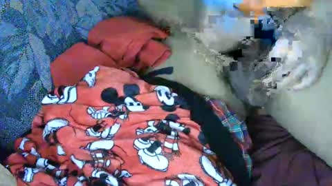 Snapshot of cancer7777 chatting on March 4, 2025, 6:15 am 7777 online show from March 4, 2025, 6:15 am