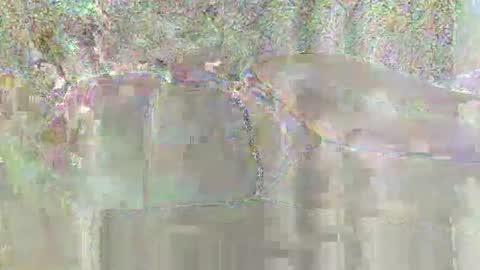 candy_ary online show from February 3, 2026, 6:40 am