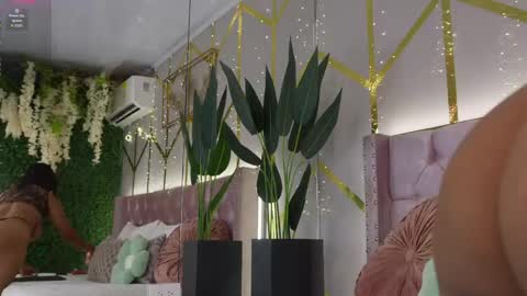 canela_montiel online show from June 3, 2026, 12:52 pm