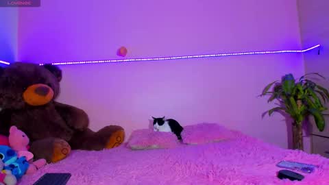 Snapshot of canndy88htx chatting on October 12, 2025, 1:37 am Onika instagram canndy888 online show from October 12, 2025, 1:37 am