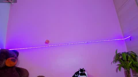 Snapshot of canndy88htx chatting on November 2, 2025, 2:36 am Onika instagram canndy888 online show from November 2, 2025, 2:36 am