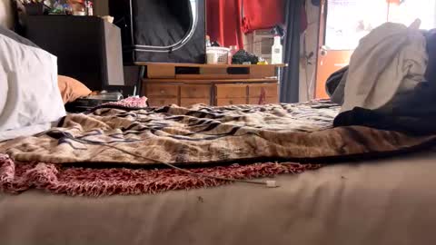 Snapshot of capacon69 chatting on November 28, 2025, 8:11 pm Bbc always ready balls insta bmac capone online show from November 28, 2025, 8:11 pm