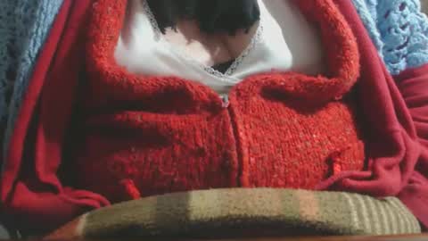 Snapshot of capitanfuturo44 chatting on October 28, 2025, 8:11 pm Cinzia ex regina online show from October 28, 2025, 8:11 pm