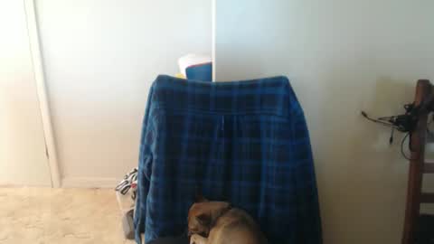 Snapshot of capt5105 chatting on March 5, 2026, 3:13 am capt5105 online show from March 5, 2026, 3:13 am