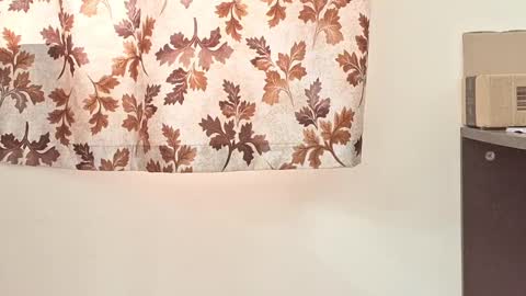 Snapshot of captain_juicyprecum chatting on March 2, 2025, 7:54 am captian juicyprecum online show from March 2, 2025, 7:54 am