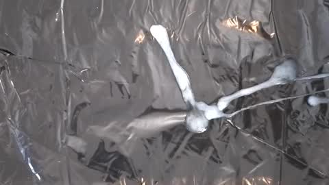 captainzoomvoom online show from March 12, 2026, 8:20 am