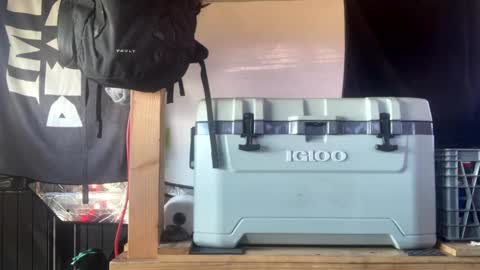 Snapshot of capwheels chatting on September 17, 2025, 7:48 pm CAP online show from September 17, 2025, 7:48 pm