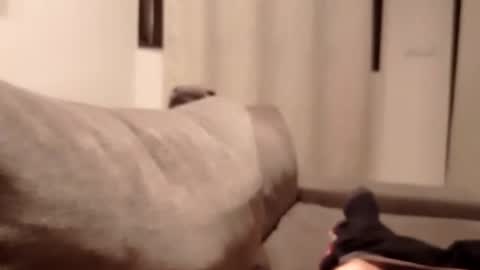 Snapshot of carlitito1 chatting on October 30, 2025, 5:35 pm carlitito1 online show from October 30, 2025, 5:35 pm