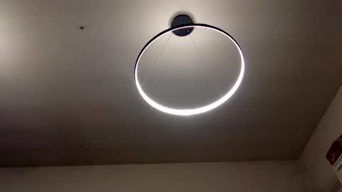 Carlos online show from February 1, 2025, 7:23 pm