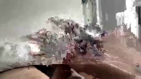 carnifex5 online show from February 26, 2026, 5:34 pm